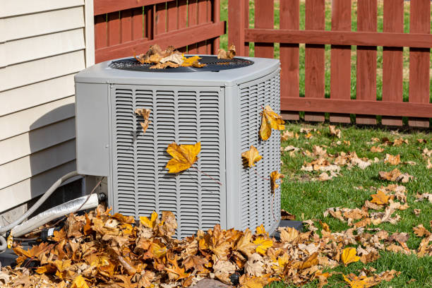 Best HVAC Tune-Up Services  in Canadian, TX
